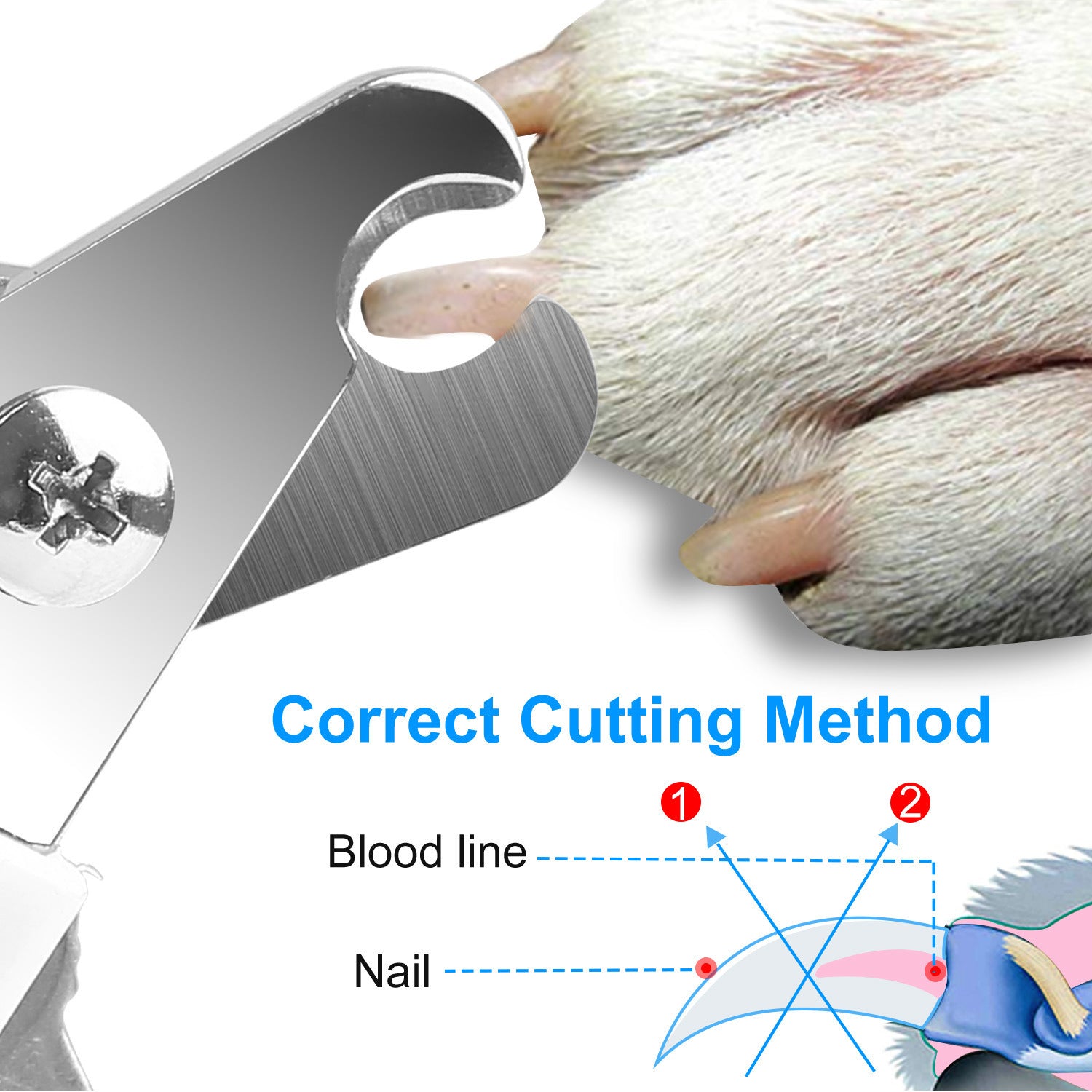Dog Nail Clippers Pet Cat Nail Toe Trimmer Stainless Steel Grooming Tool Free Nail File Small Medium Large Dogs L Size - WoodPoly.com