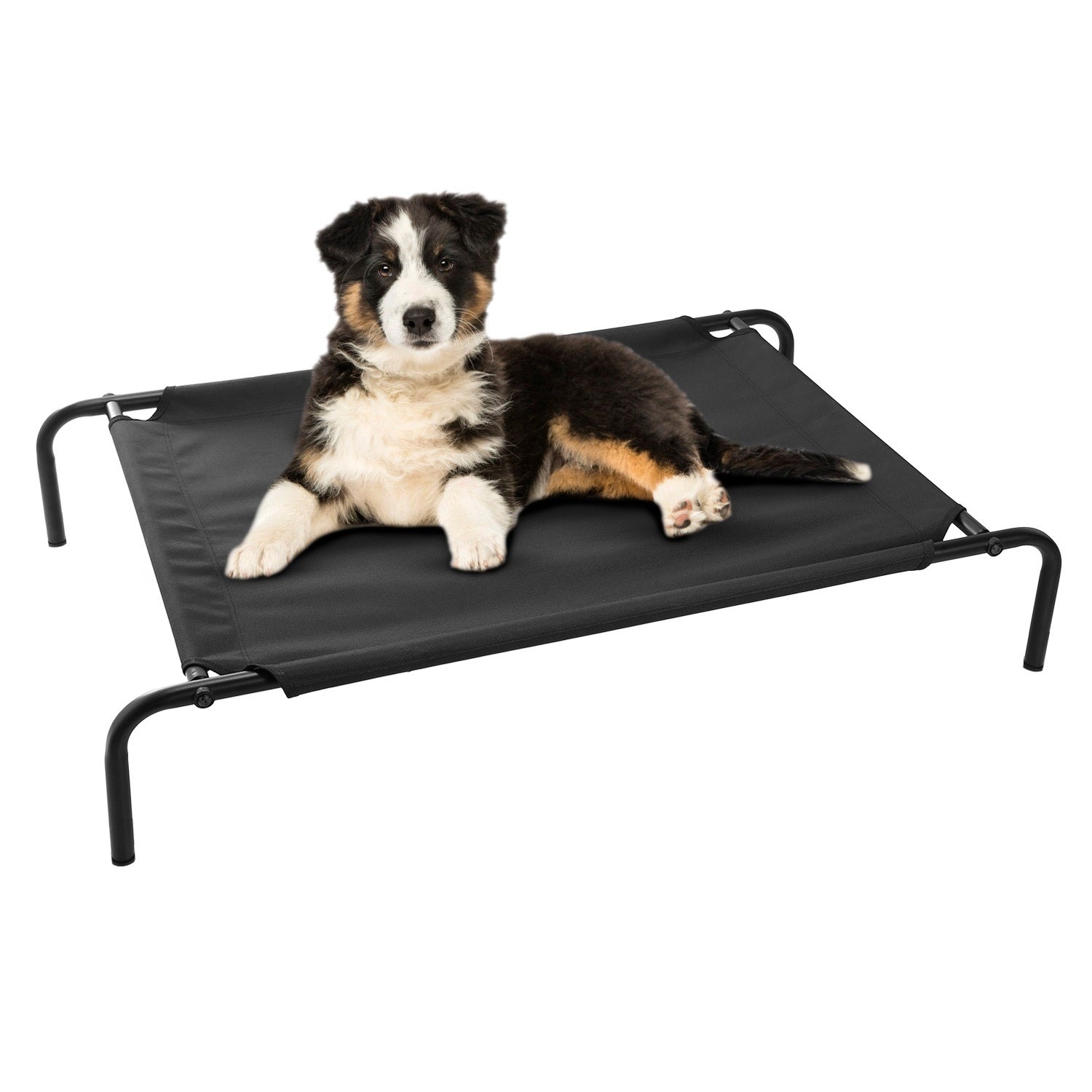 Elevated Pet Bed Dogs Cot Dogs Cats Cool Bed L Size - WoodPoly.com
