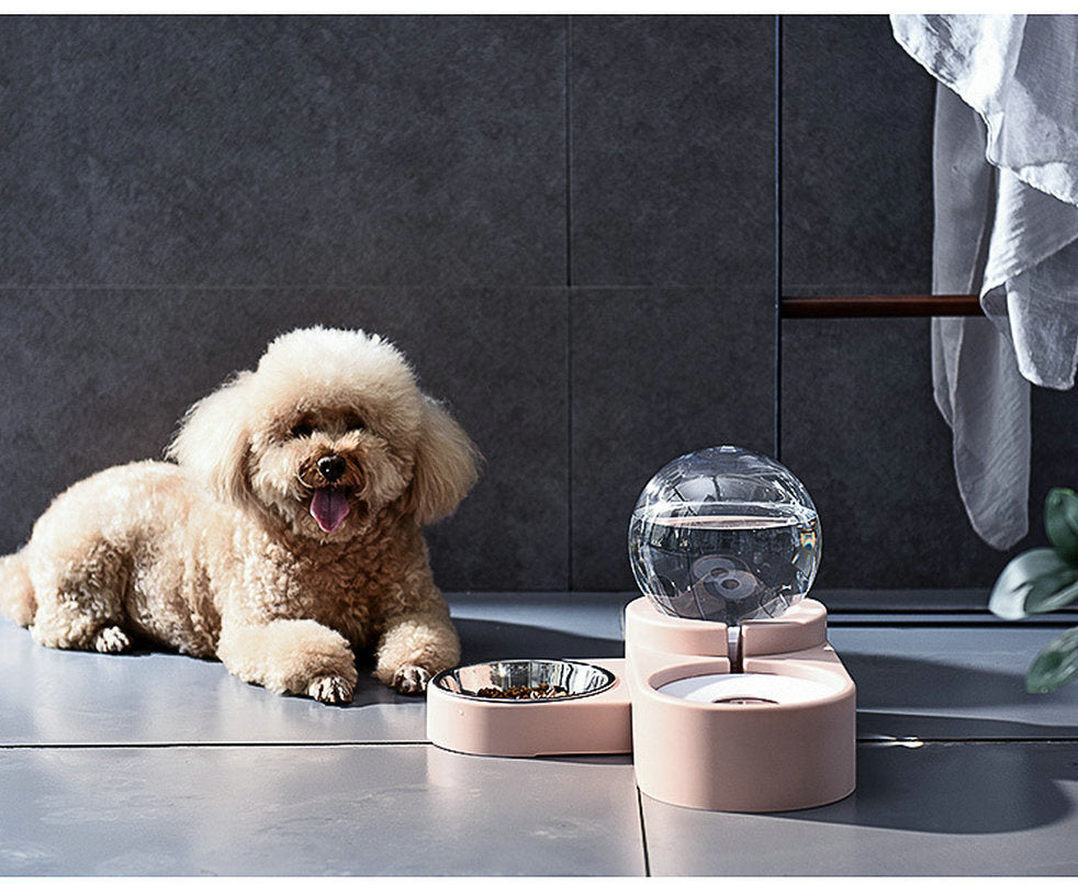 Large Pet Feeder Automatic Drinking Fountain and Food Bowl Pet Water Dispenser with Mouth Separator - WoodPoly.com