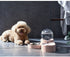 Large Pet Feeder Automatic Drinking Fountain and Food Bowl Pet Water Dispenser with Mouth Separator - WoodPoly.com