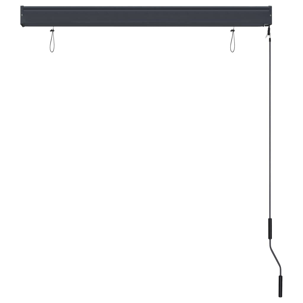 Outdoor Roller Blind 47.2"x98.4" Anthracite - WoodPoly.com