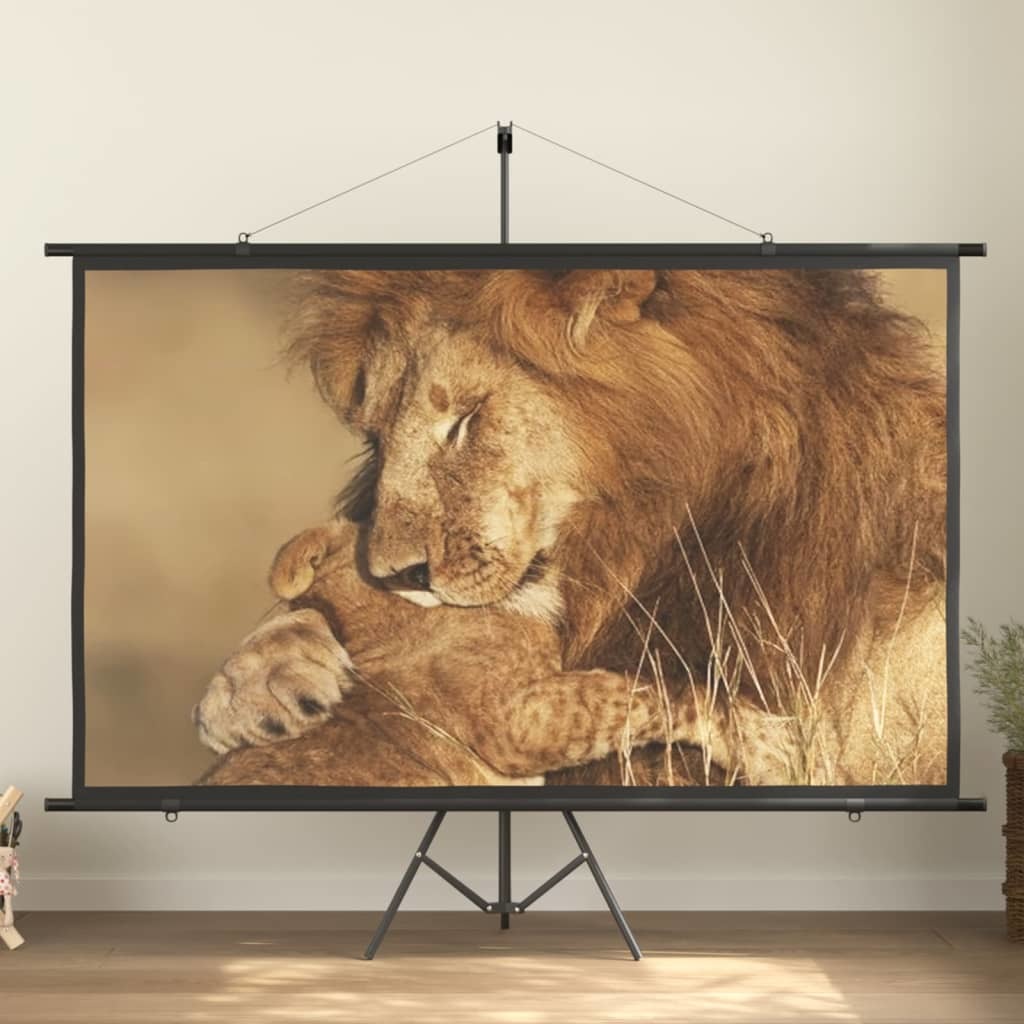 Projection Screen 100" 16:9 - WoodPoly.com